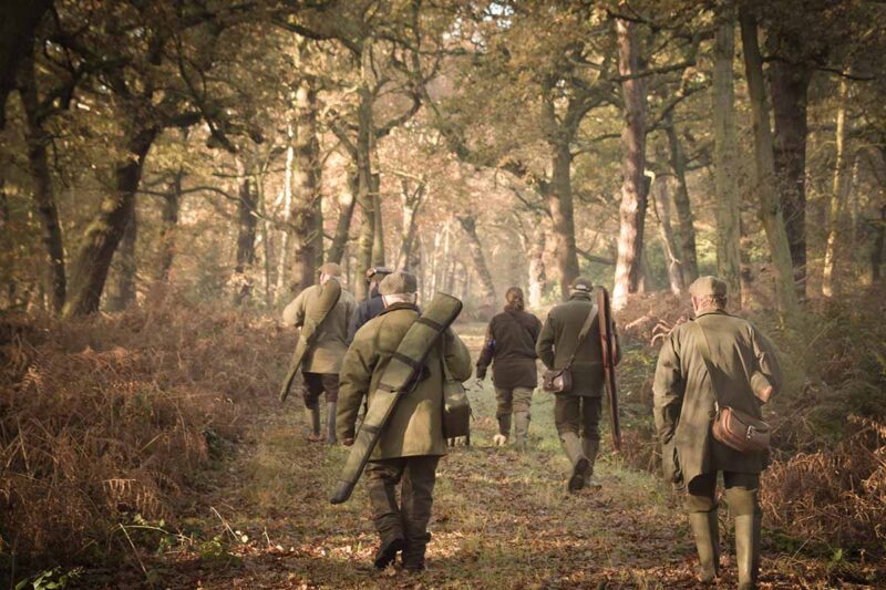 A group of men walking through woodland to hunt for a pheasant shoot