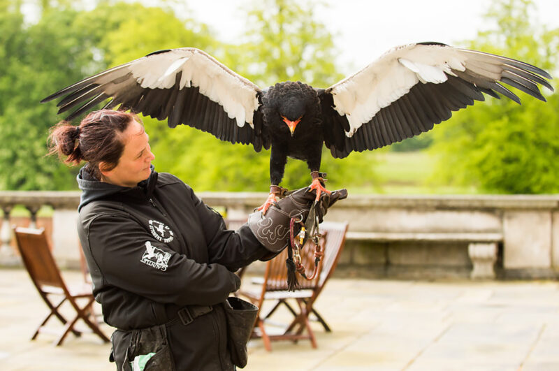Amazing experiences at Knowsley Hall